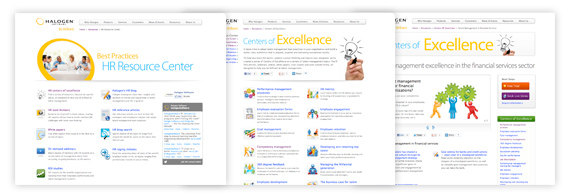 ongoing website design for Halogen Software